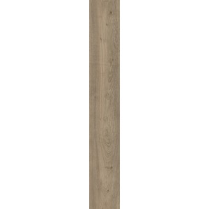 Дуб Мендель D50137