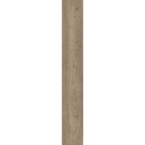 Дуб Мендель D50137