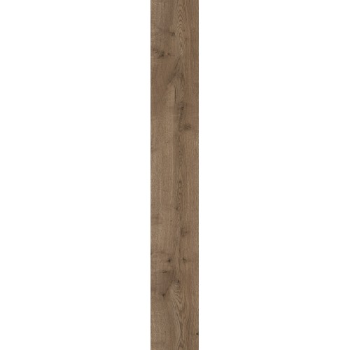 Дуб Демонт D7081