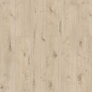 Дуб Бирта D50747