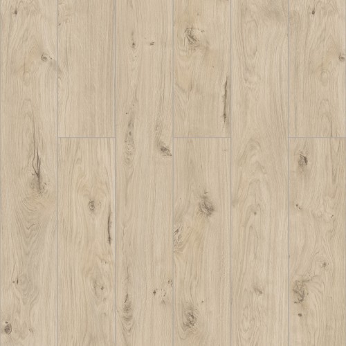 Дуб Бирта D50747