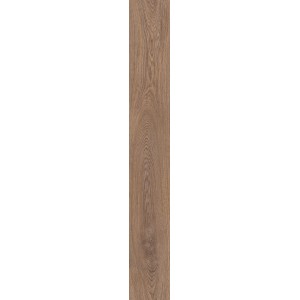 Дуб Герберт D50757
