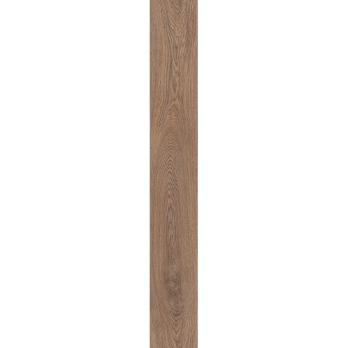 Дуб Герберт D50757