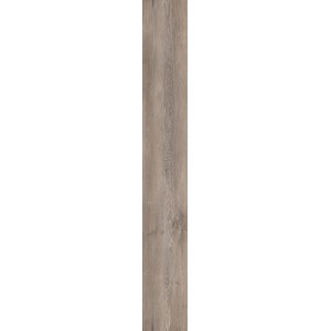 Дуб Ригель D50057
