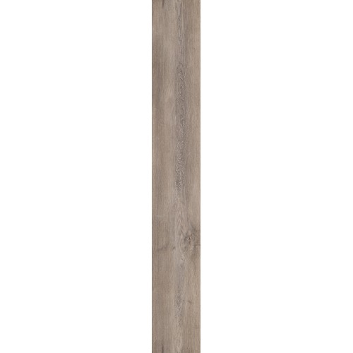 Дуб Ригель D50057