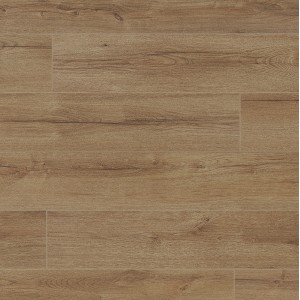 Дуб Фалкон FP1124