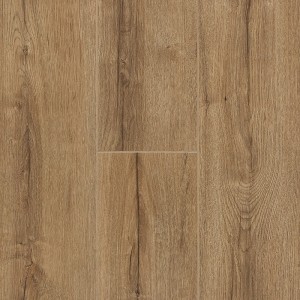 Дуб Фалкон FP1124