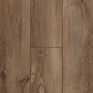 Дуб Берлин SF60