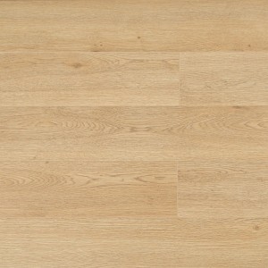 Дуб Эритрея SF256
