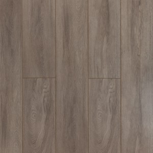Дуб Королевский 2581